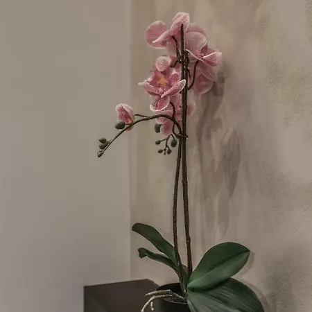 Stylish Near Duomo Daire Milano